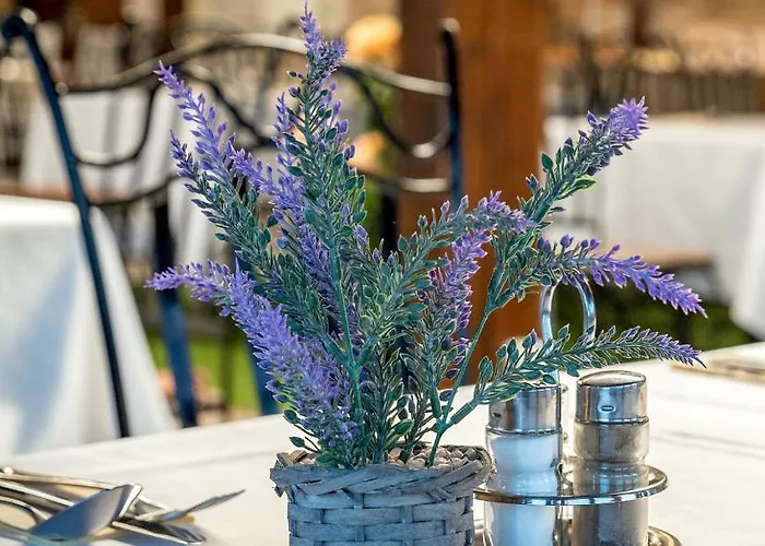 Eden Lounge Restaurant & 3*